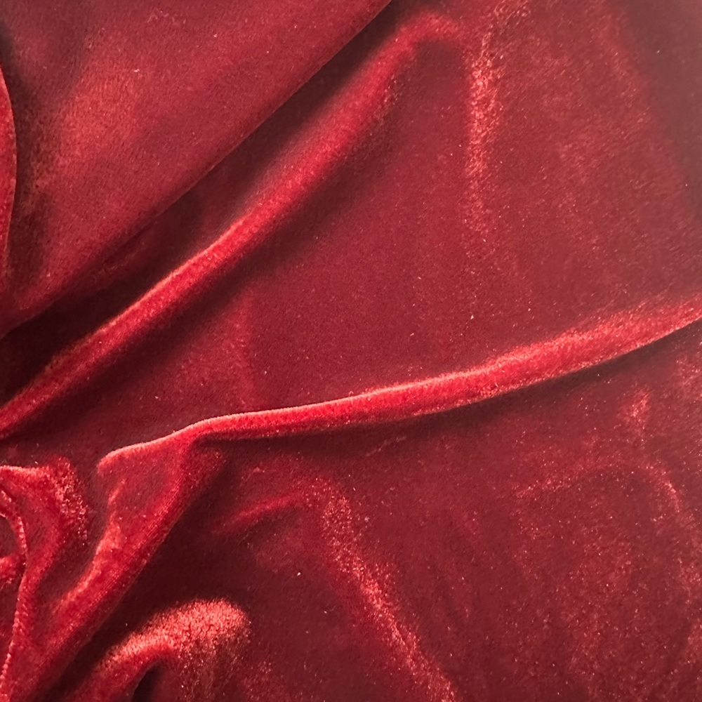 Velvet Red Pants - Picture 3 of 4
